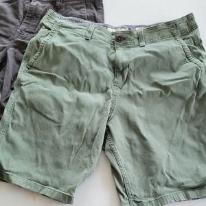 Lucky Brand Green Flat Front Shorts